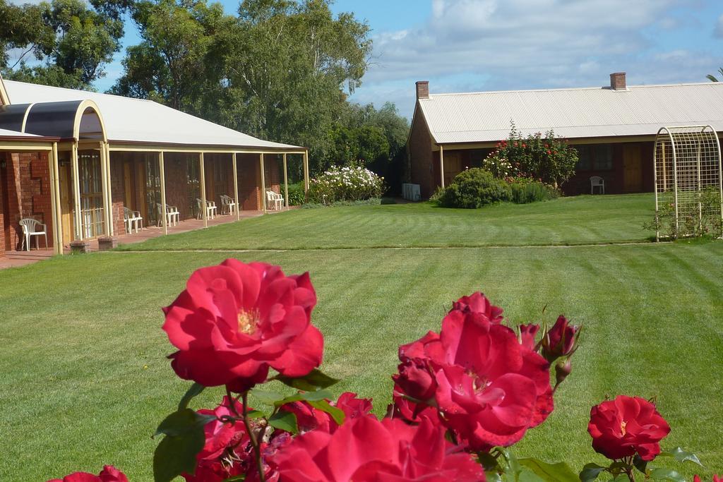 Coonawarra Place Motor Inn Bagian luar foto