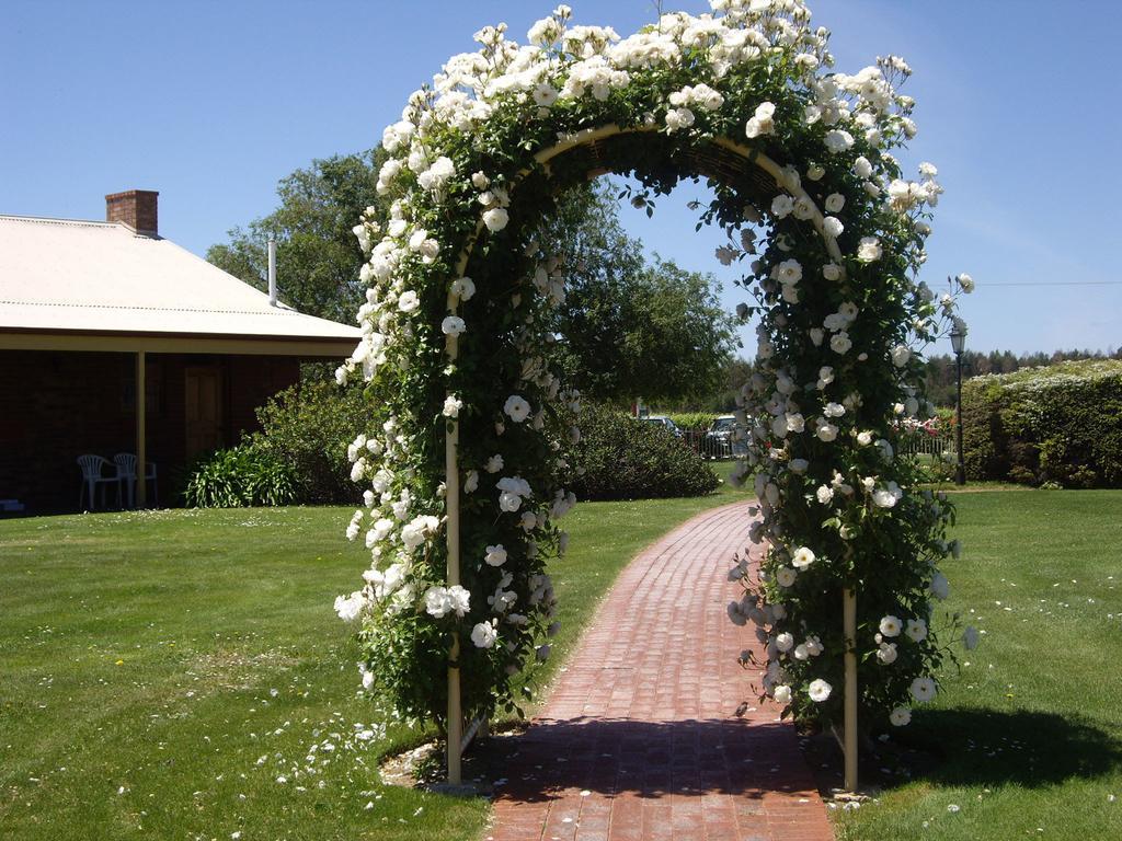 Coonawarra Place Motor Inn Bagian luar foto