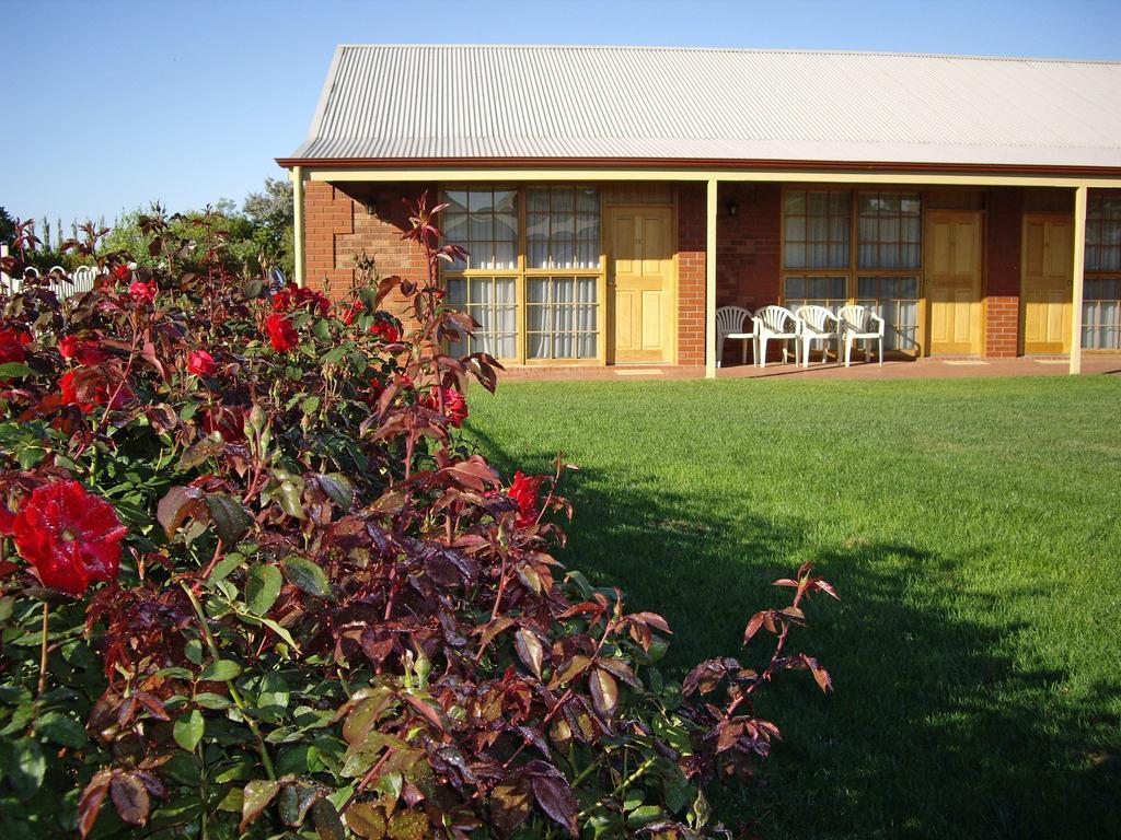 Coonawarra Place Motor Inn Bagian luar foto