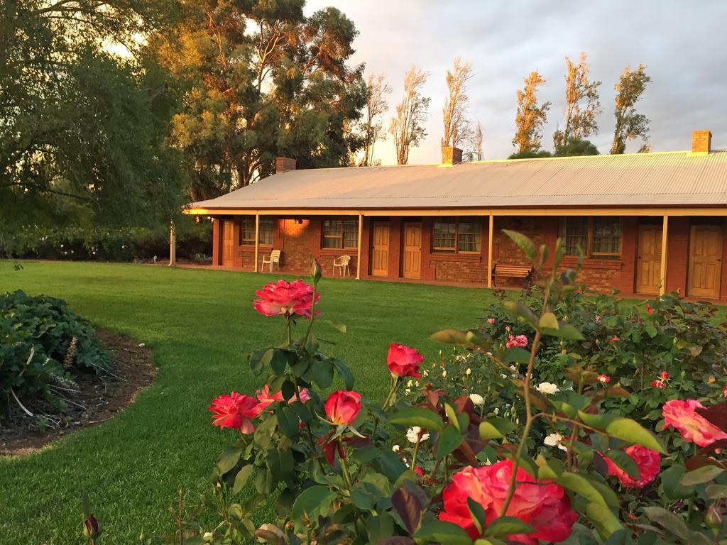 Coonawarra Place Motor Inn Bagian luar foto