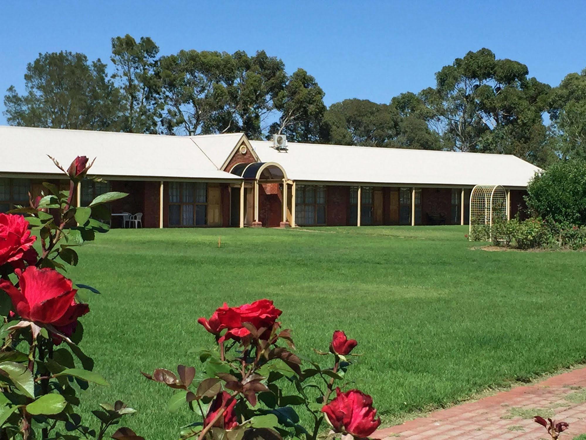 Coonawarra Place Motor Inn Bagian luar foto