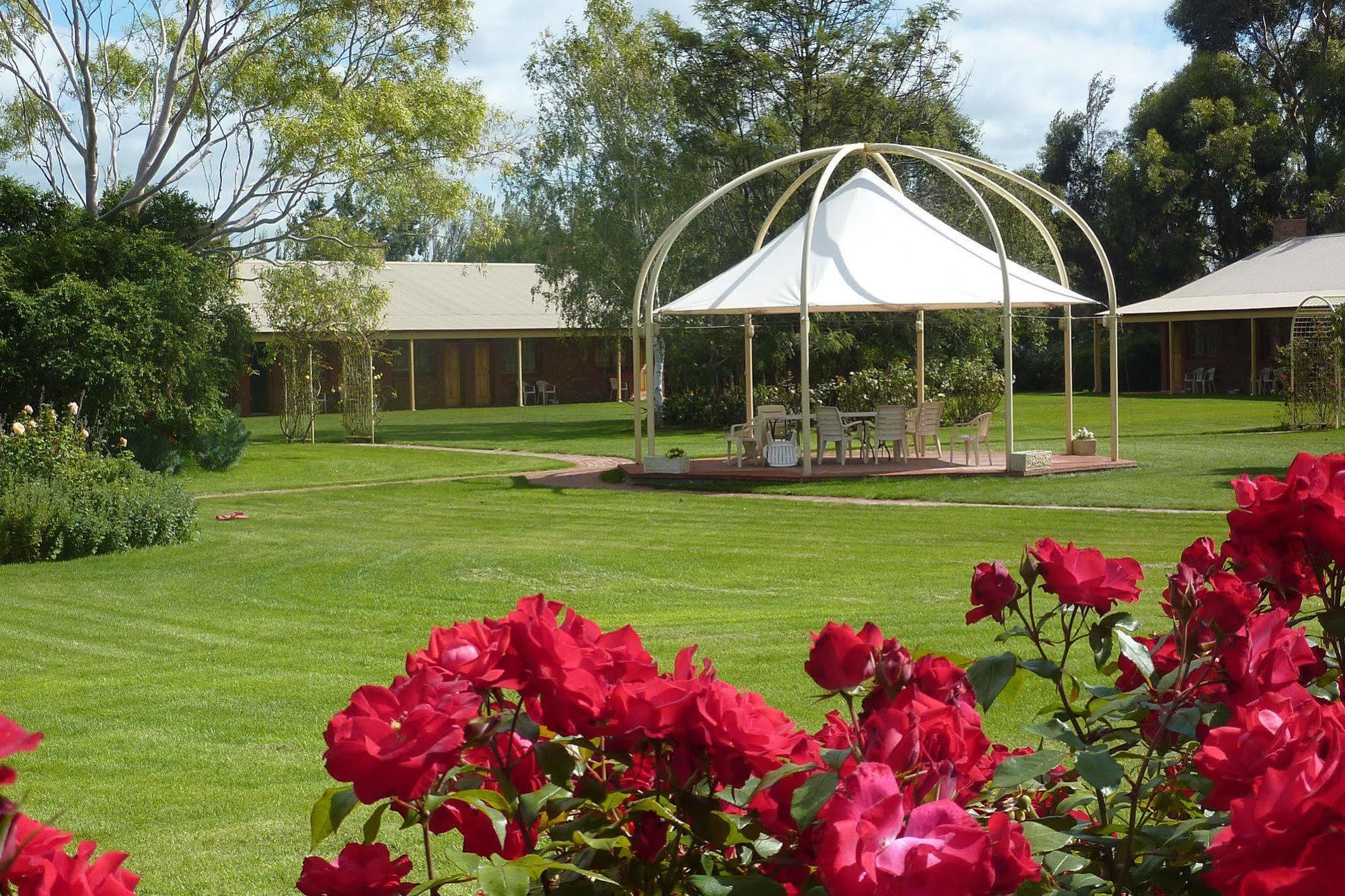 Coonawarra Place Motor Inn Bagian luar foto
