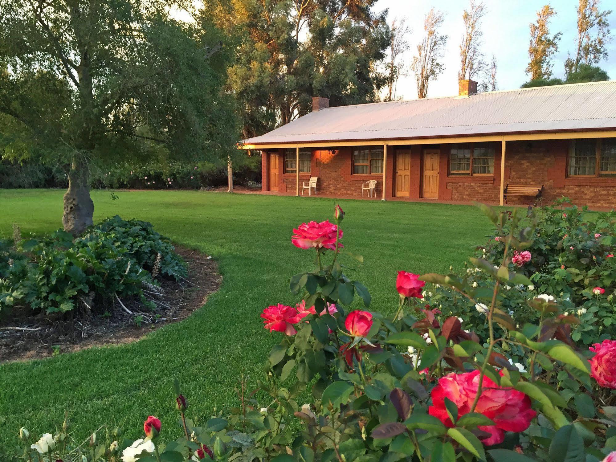 Coonawarra Place Motor Inn Bagian luar foto