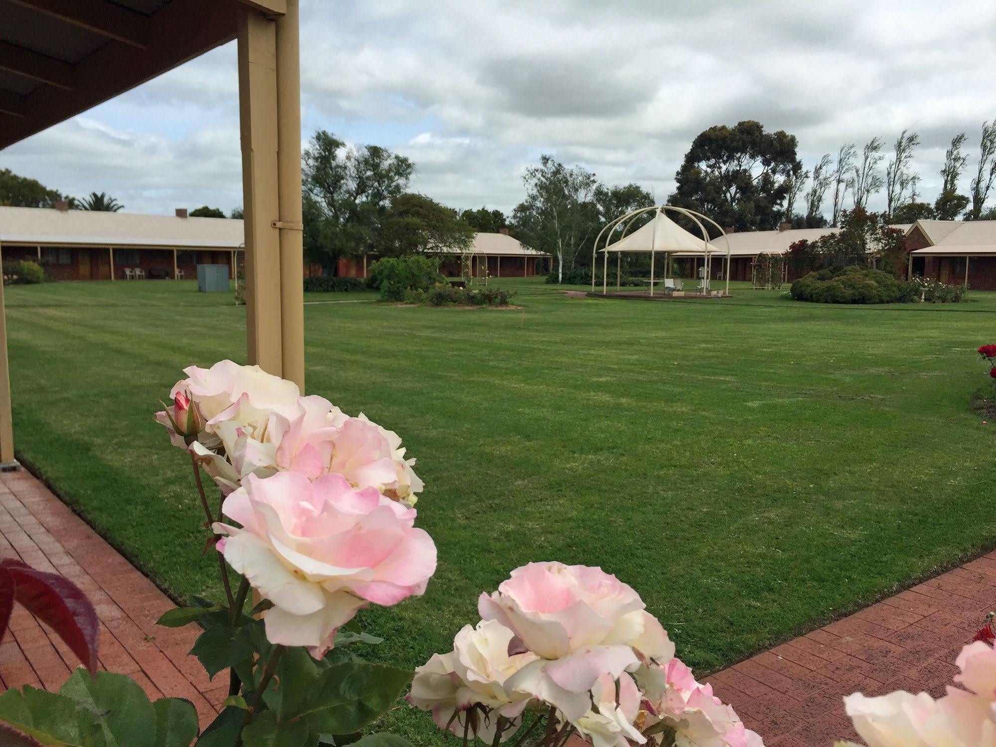 Coonawarra Place Motor Inn Bagian luar foto